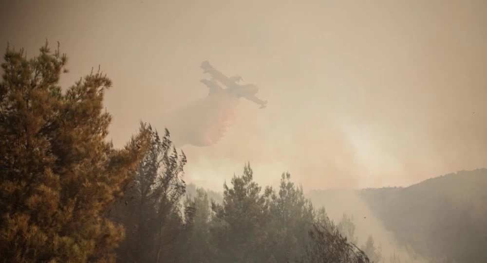 Πυρκαγιά τώρα στο Μαρτίνο Φθιώτιδας